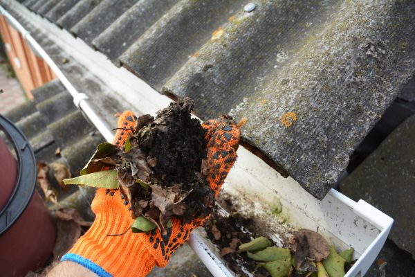 Cost of Seamless Gutter Cleaning in Gilroy