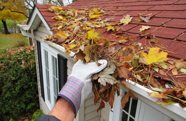 Cost of Emergency Gutter Cleaning in Gilroy