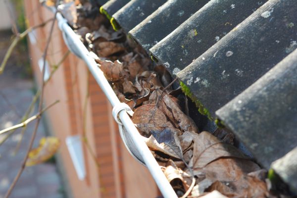 Cost of Home Gutter Cleaning in Gilroy