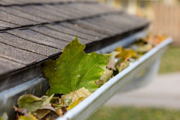 Cost of Gutter Leaves Removal in Gilroy